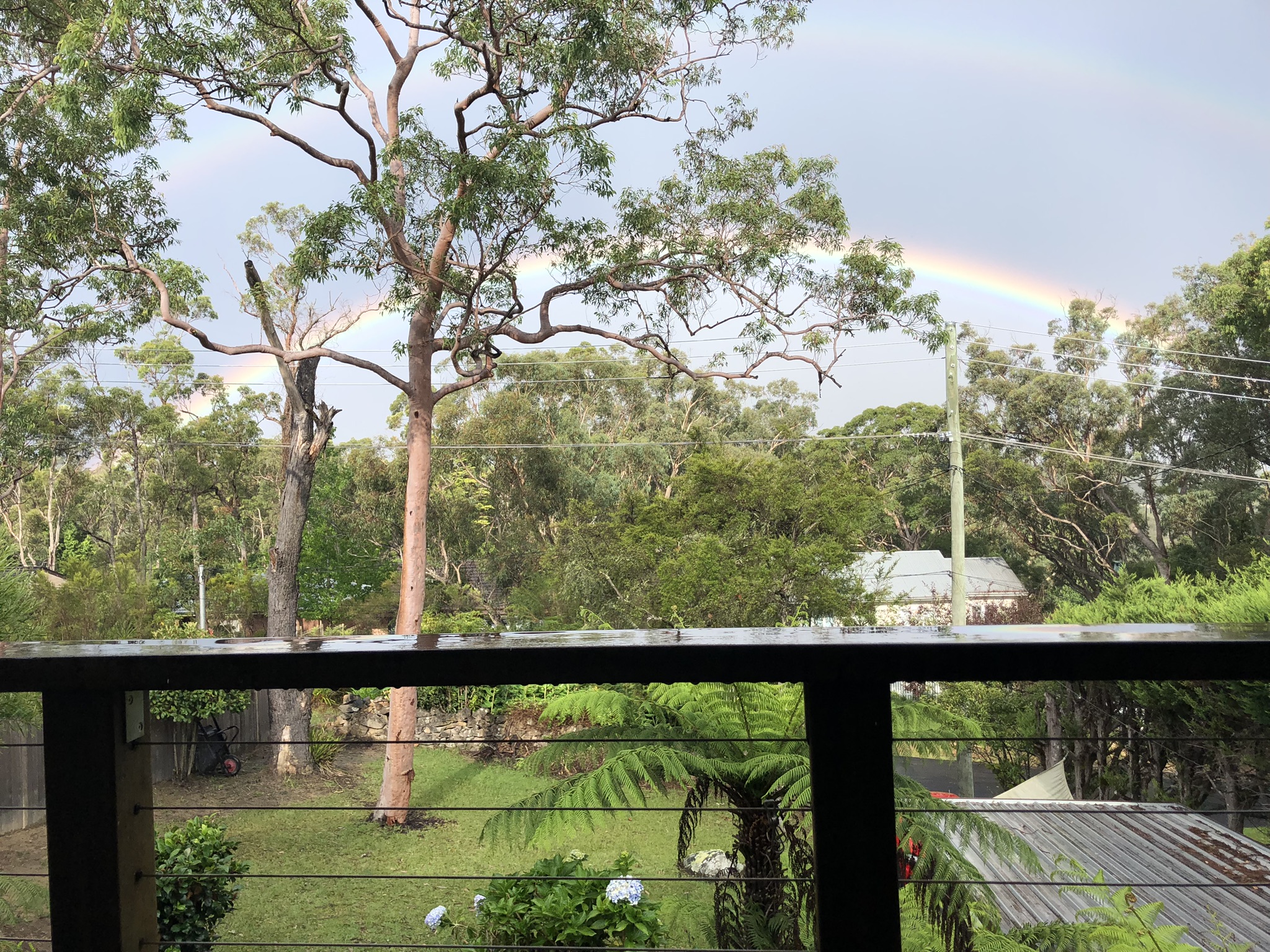 A view of a rainbow in the Aussie bush